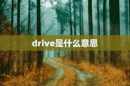 drive是什么意思